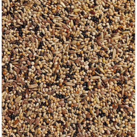 34 - Volière 20kg - Deli Nature – Image 2