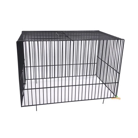 Dôme Cage D'exposition Frisé