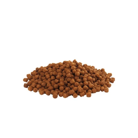 VERSELE-LAGA Floating Flamingo 15kg – Image 2