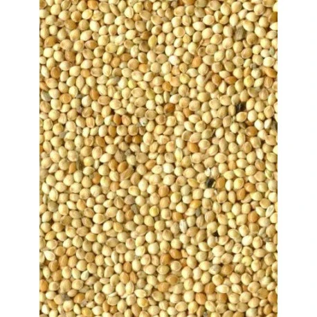 Millet Blanc 20kg