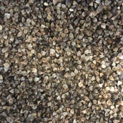 VERSELE-LAGA Sarrasin 20 Kg